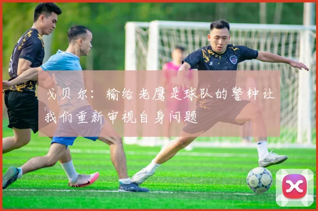戈贝尔：输给老鹰是球队的警钟让我们重新审视自身问题